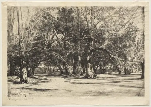 A By-Road in Tipperary, by Francis Seymour Haden