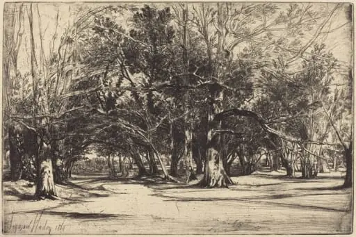 A By-Road in Tipperary, by Francis Seymour Haden