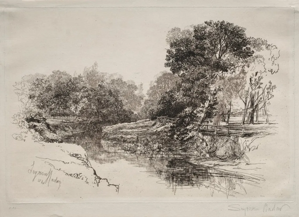 A River in Ireland, by Francis Seymour Haden, 1864