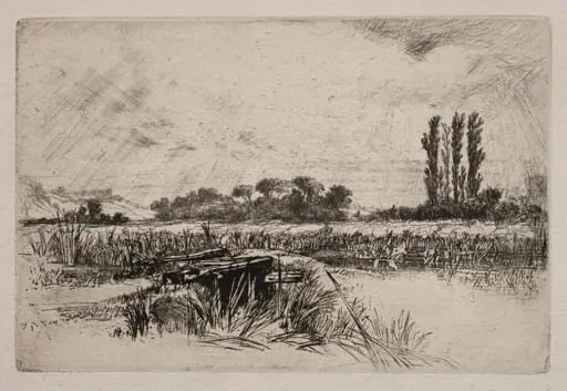 A Water Meadow, by Francis Seymour Haden