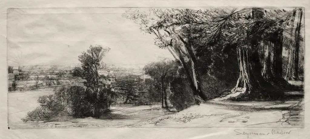 Early Morning, Richmond Park, by Francis Seymour Haden, 1859