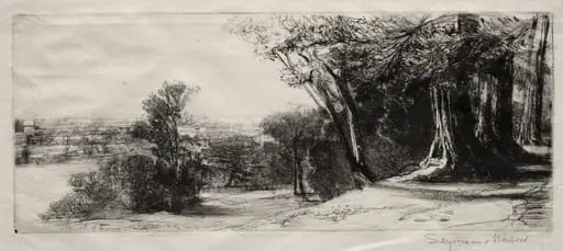 Early Morning, Richmond Park, by Francis Seymour Haden