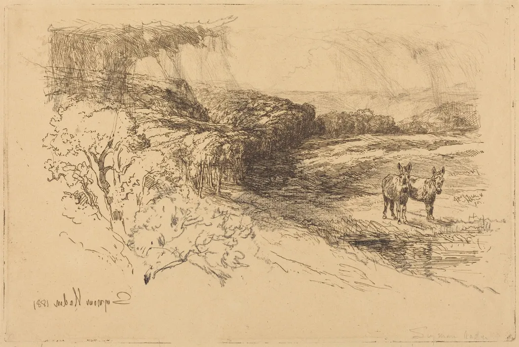 Encombe Woods (No.1), by Francis Seymour Haden, graphite, 1881
