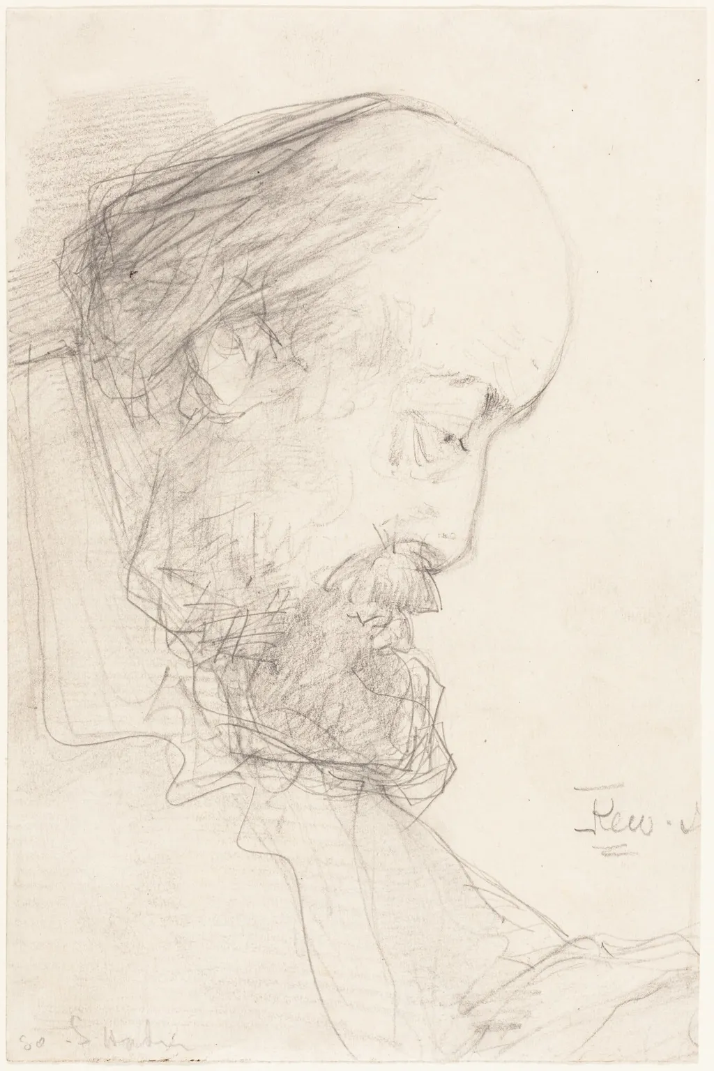 Griff, by Francis Seymour Haden, graphite, 1864