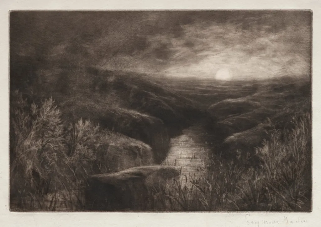 Haunt of the Mosquito, by Francis Seymour Haden, 1868
