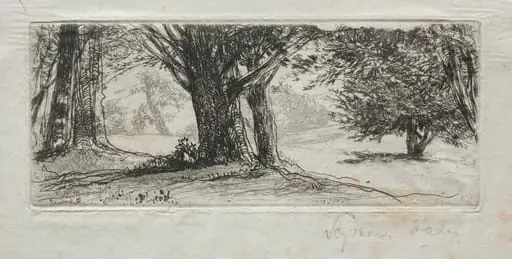 Holly Field, by Francis Seymour Haden