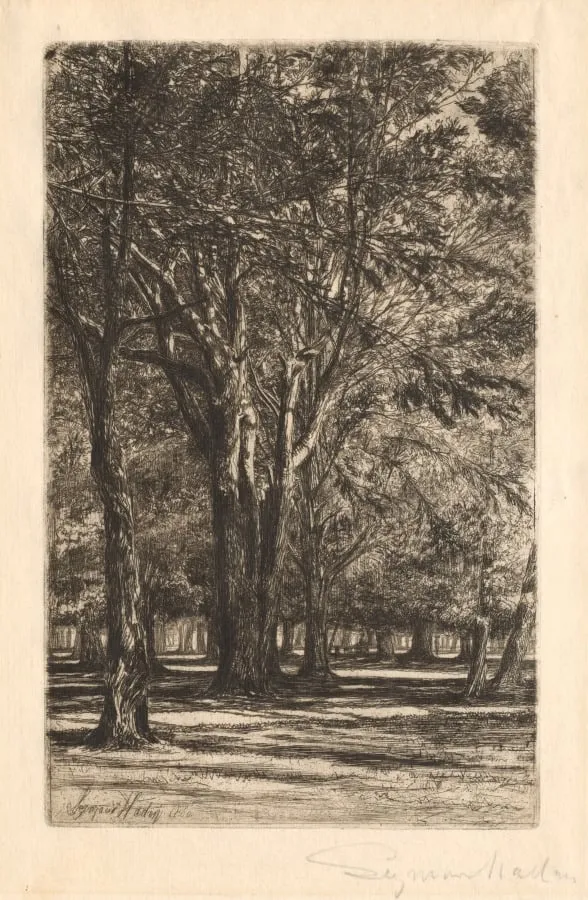 Kensington Gardens, No. 2 (Large Plate), by Francis Seymour Haden, 1860