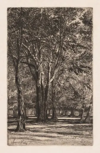 Kensington Gardens, No. 2 (The Larger Plate), by Francis Seymour Haden