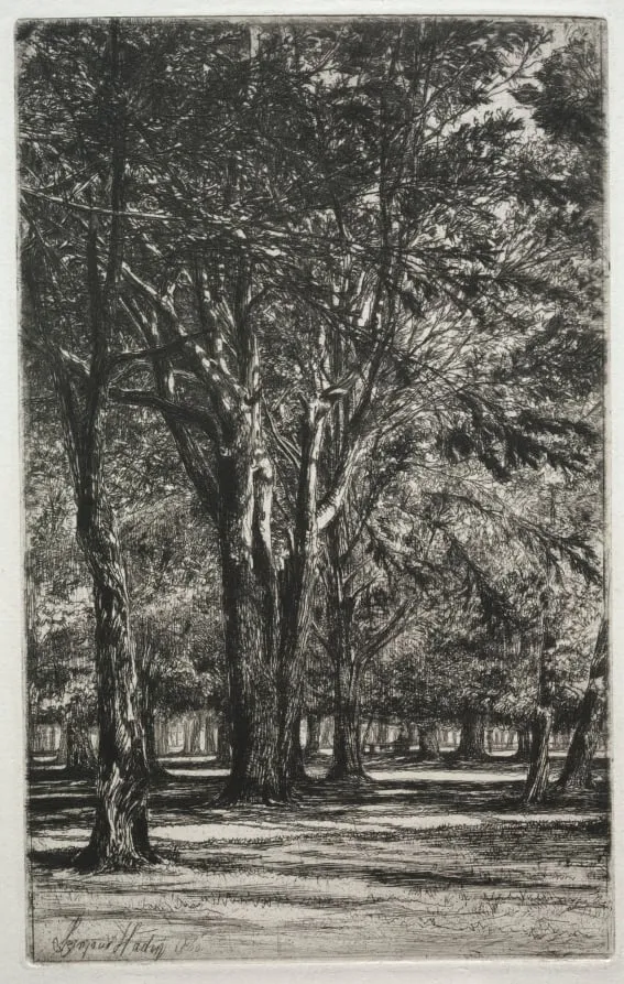 Kensington Gardens (The Large Plate), by Francis Seymour Haden, 1860