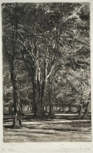 Kensington Gardens (The Larger Plate), by Francis Seymour Haden