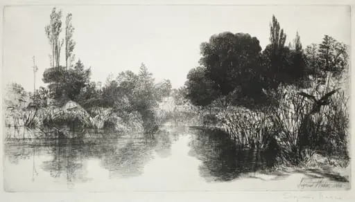 Shere Mill Pond, No. 11 (The Large Plate), by Francis Seymour Haden