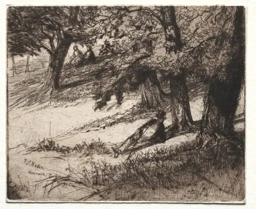 Sub Tegmine, by Francis Seymour Haden