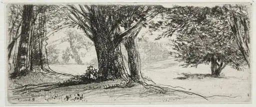 The Holly Field, by Francis Seymour Haden