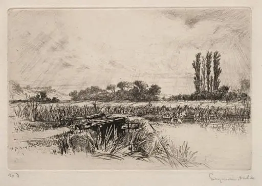 Water Meadow, by Francis Seymour Haden
