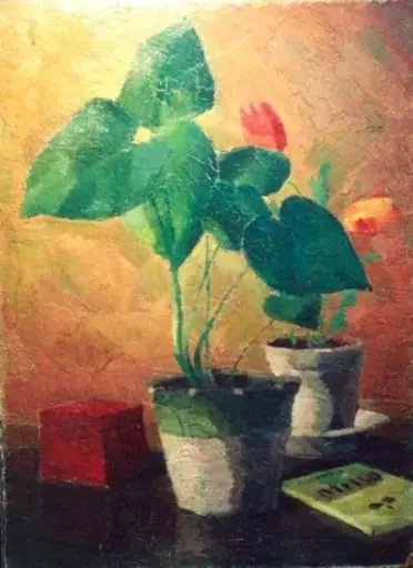 Caseta roșie, by Francisc Șirato