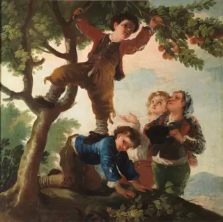 Boys picking fruit, by Francisco de Goya