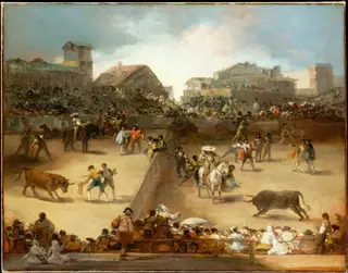 Bullfight in a Divided Ring