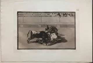 Bullfights:  A Picador is Unhorsed and Falls Under the Bull