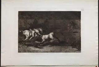 Bullfights:  Mariano Ceballos, Alias the Indian, Kills the Bull From his Horse