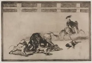 Bullfights:   They Loose Dogs on the Bull, by Francisco de Goya