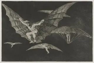 The Proverbs:  A Way of Flying