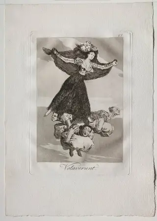 They Have Flown, Plate 61