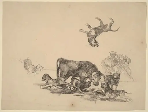 Bull Attacked by Dogs, by Francisco Goya