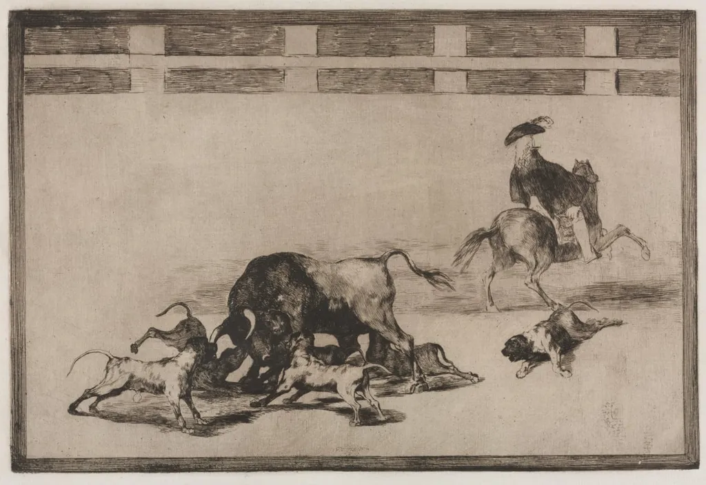 Bullfights: They Loose Dogs on the Bull, by Francisco Goya, 1816