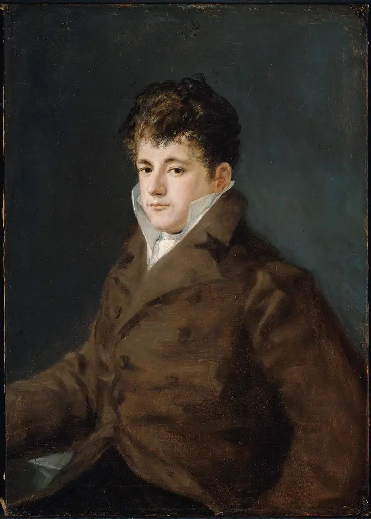Portrait of a Young Man in Brown, possibly Javier Goya, by Francisco Goya