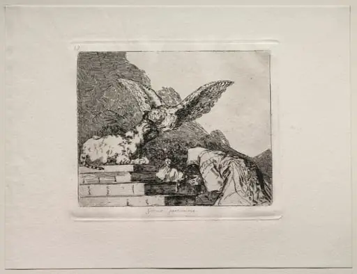 The Horrors of War:  Feline Pantomime, by Francisco Goya