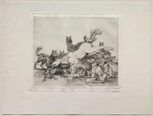The Horrors of War: He Defends Himself Well, by Francisco Goya