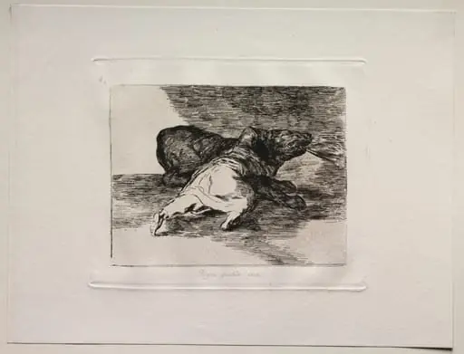 The Horrors of War: He Gets Something Out of It., by Francisco Goya