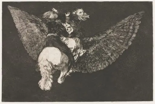The Proverbs: Flying Folly, by Francisco Goya