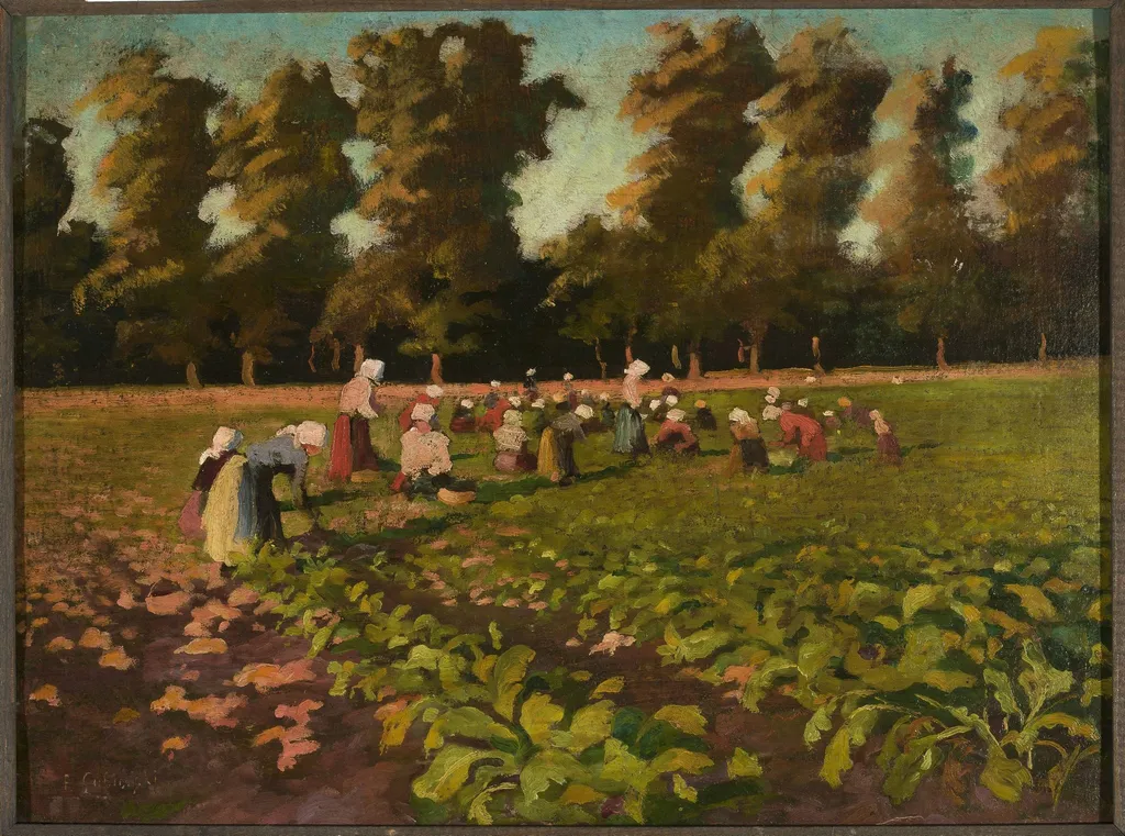 Harvesting beetroots, by Franciszek Łubieński, oil, 1910