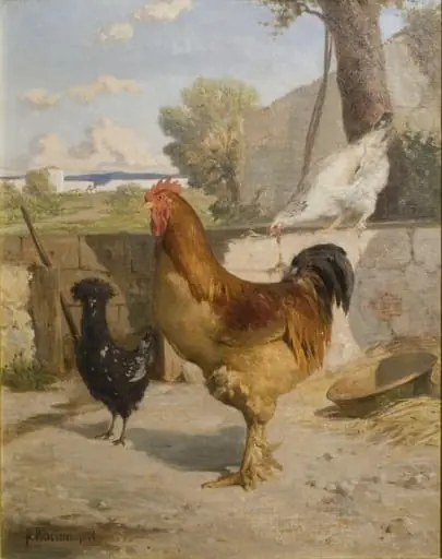 Poultry, by François Bocion