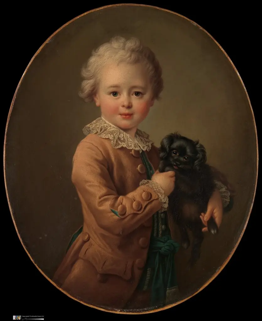 Boy with a Black Spaniel, by François-Hubert Drouais