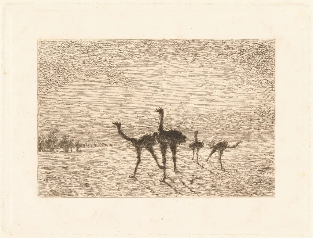 Ostriches in the Desert, by François-Nicolas Auguste Feyen-Perrin, ink, 1872