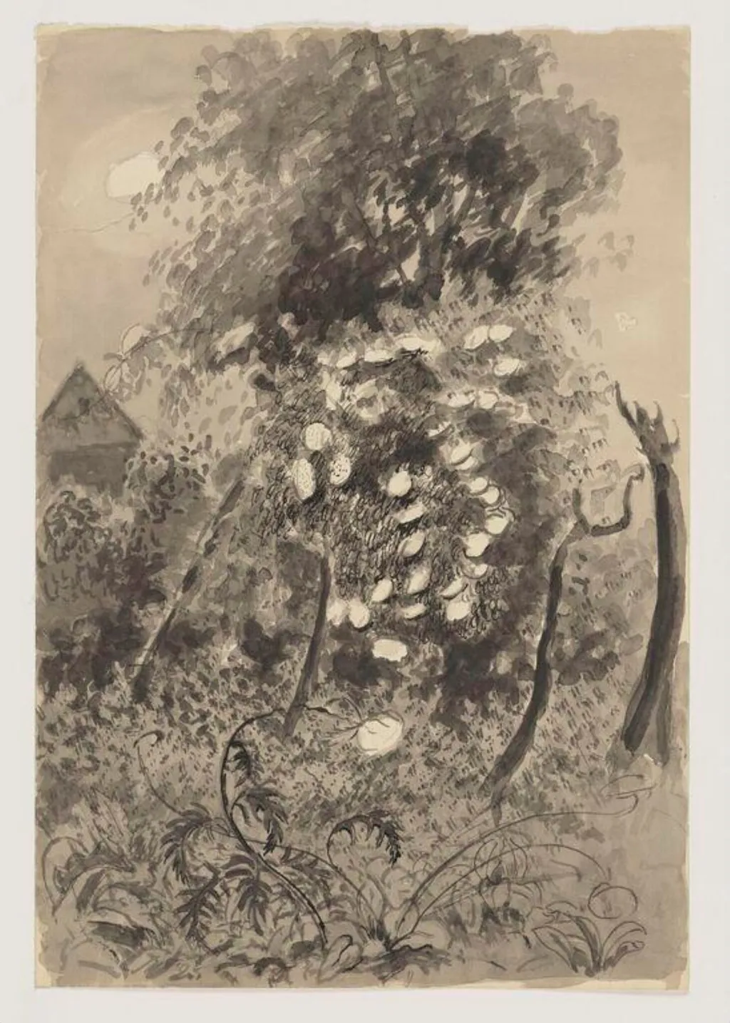 Moonlight on elderflower, the garden, Shoreham, by Franklin White, watercolor, 1960