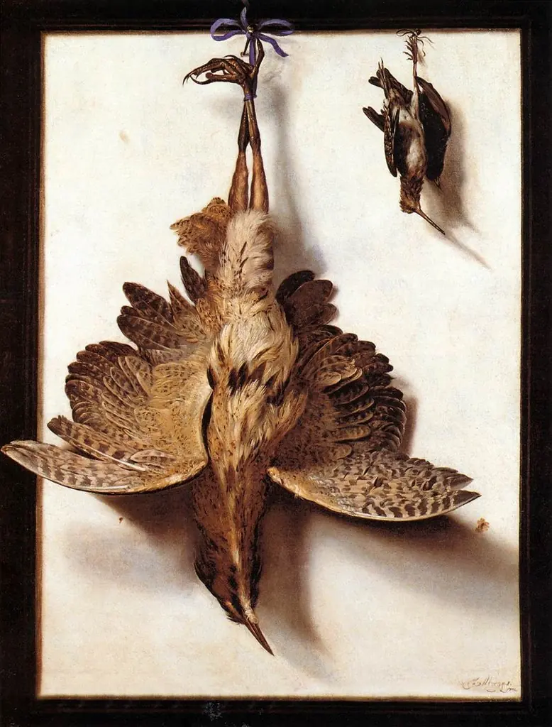 Stilleven met vogels, by Frans Cuyck van Myerop