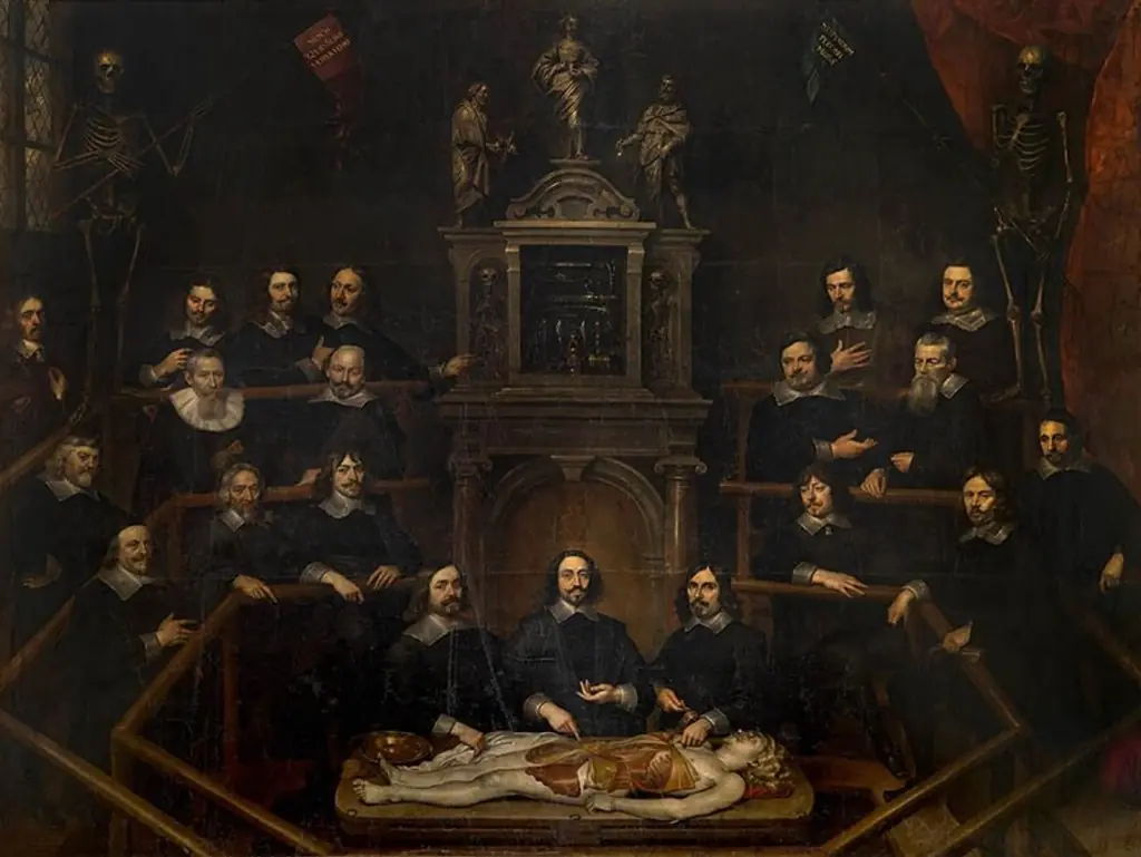 The Anatomy Lesson of Dr. Joannes van Buyten