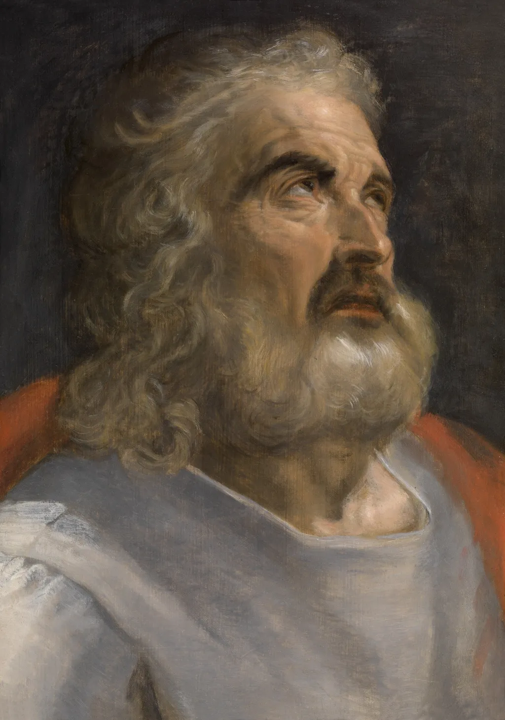 Man with a Beard, by Frans Floris, oil, 1550