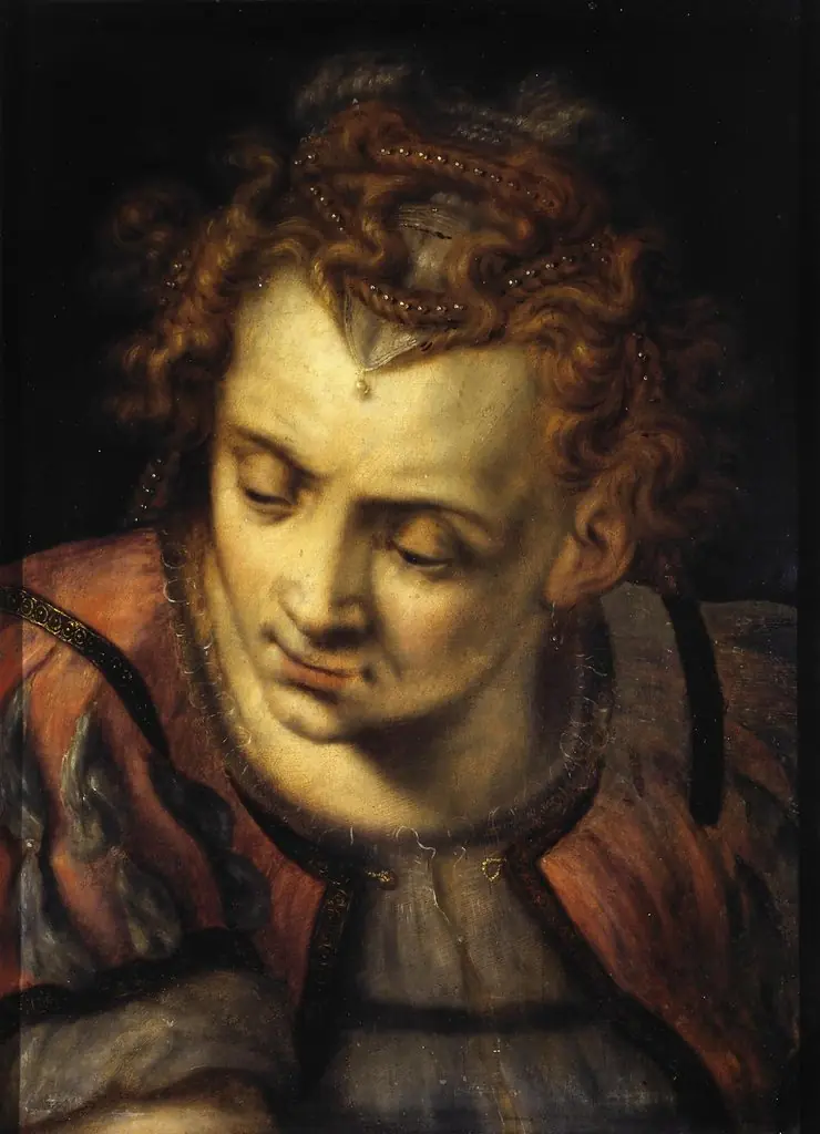Study of the Head of a Woman, by Frans Floris