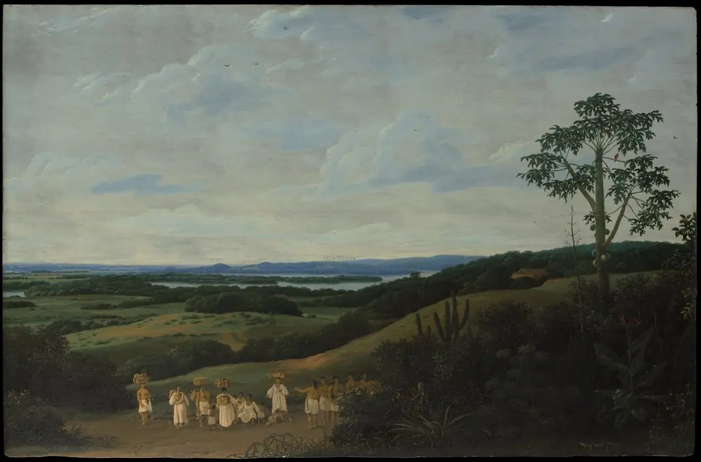 A Brazilian Landscape, by Frans Post