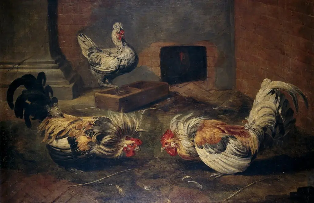 Chicken coop, by Frans Snyders