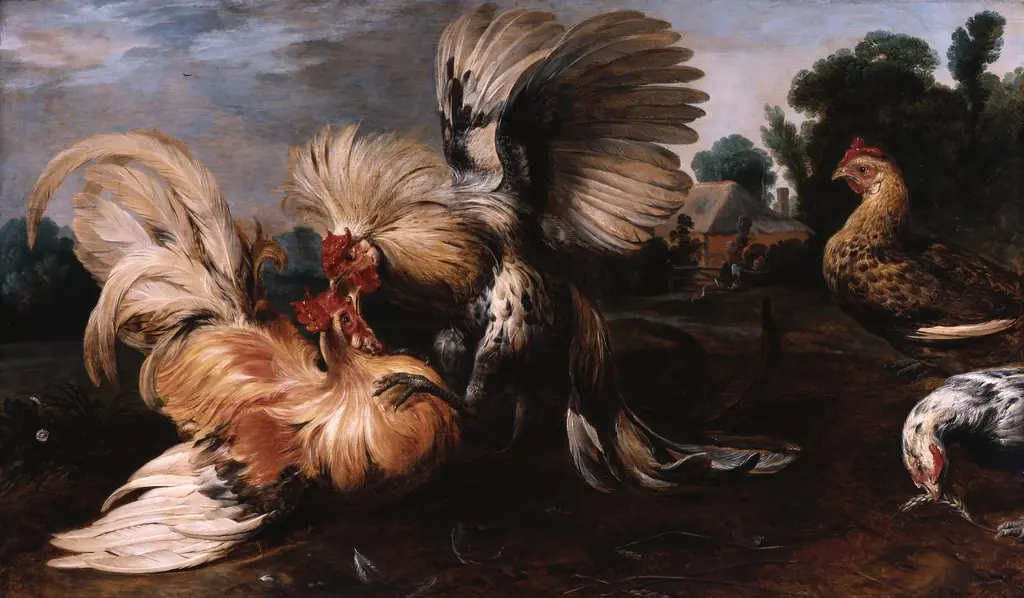 Cockfight, by Frans Snyders