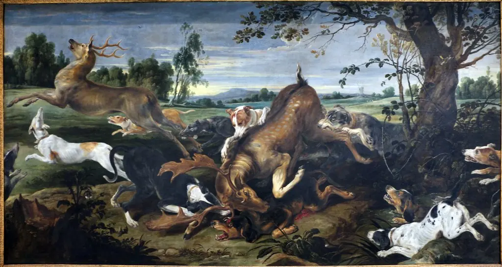 Deer Hunt, by Frans Snyders