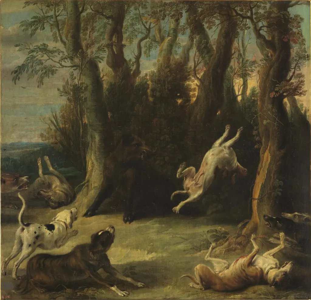 Dogs attacking a wild boar