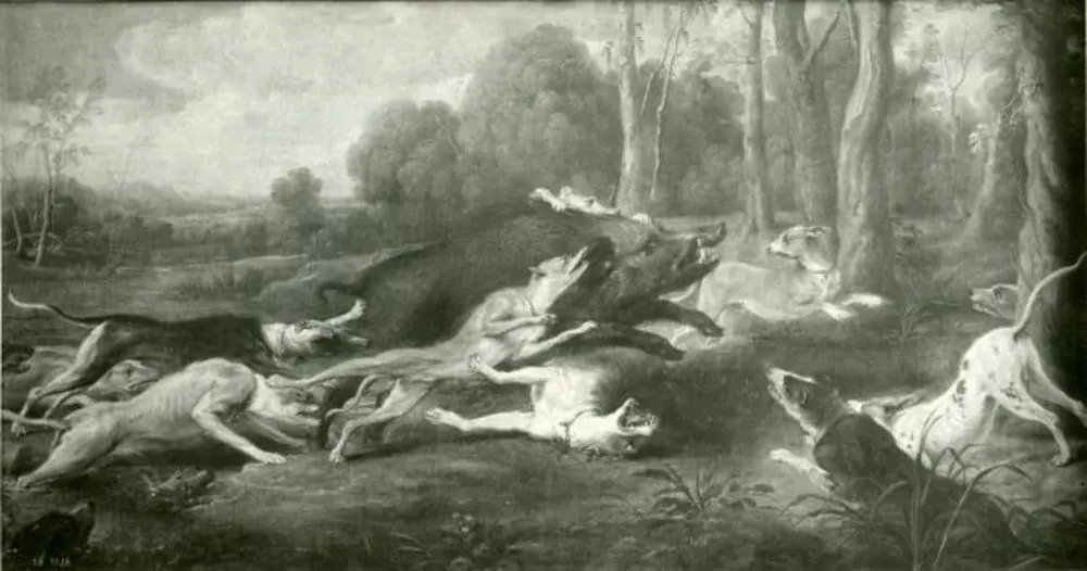 Dogs attacking a wild boar