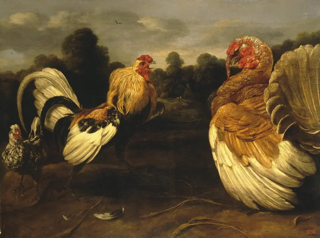 Fight of a Rooster and a Turkey Cock, by Frans Snyders
