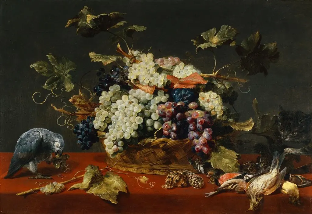 Traubenkorb mit Papagei und Katze, by Frans Snyders